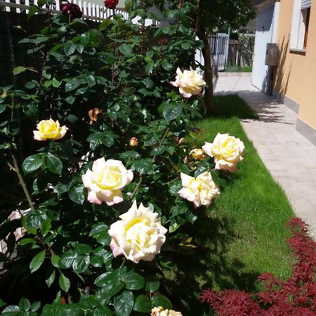 Villa Al Sole Mestre Eksteriør bilde